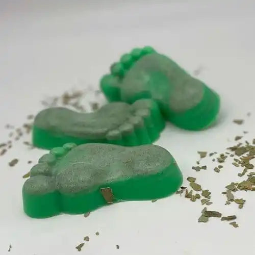 green pumice feet on a white background front facing photo